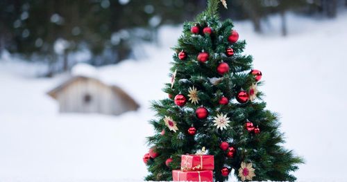 Eisstockverein Grafling - Christbaumversteigerung 